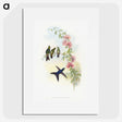 1-21_John-Gould_picture