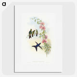 1-21_John-Gould_picture