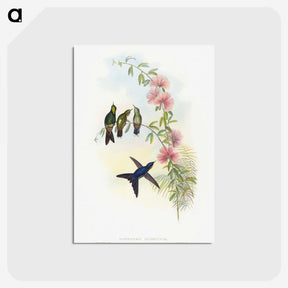 1-21_John-Gould_postcard