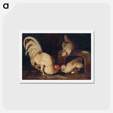 アートポストカード-Farmyard Fowls
 - ジョン ジェームス オーデュボン Postcard.
