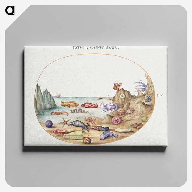 1-21_Joris-Hoefnagel_canvas