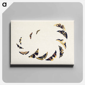 アートパネル-Vintage butterfly - 神坂 雪佳 Canvas.