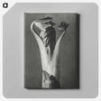 1-21_Karl-Blossfeldt_canvas