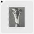 1-21_Karl-Blossfeldt_memo