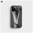 1-21_Karl-Blossfeldt_phone