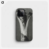 1-21_Karl-Blossfeldt_phone