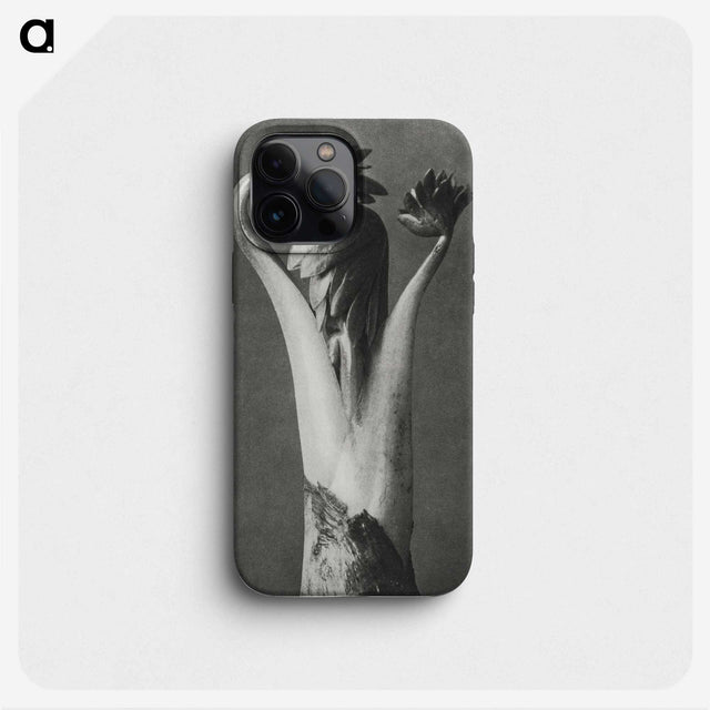 1-21_Karl-Blossfeldt_phone