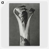 1-21_Karl-Blossfeldt_picture-crop