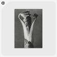 1-21_Karl-Blossfeldt_postcard