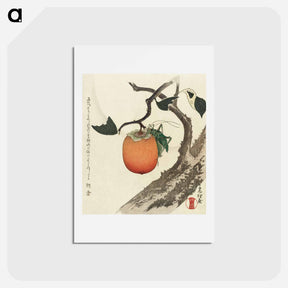 アートポストカード-Kakivrucht met sprinkhaan - 葛飾 北斎 Postcard.