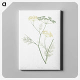 1-21_La-Botanique_canvas