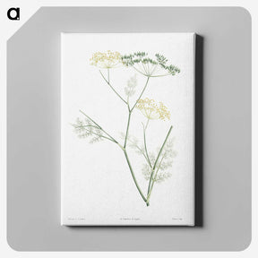 1-21_La-Botanique_canvas