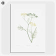 1-21_La-Botanique_picture