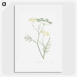 1-21_La-Botanique_picture