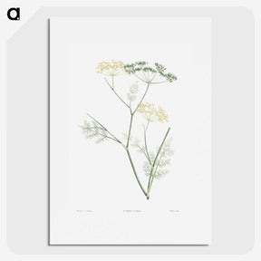 1-21_La-Botanique_picture