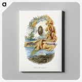 1-21_Le-Jardin-des-Plantes_canvas