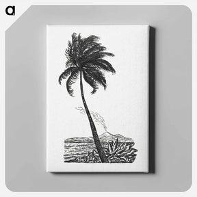 アートパネル-Palm tree with an island - レオ ヘステル Canvas.