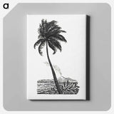 Palm tree with an island - Leo Gerstel Canvas.