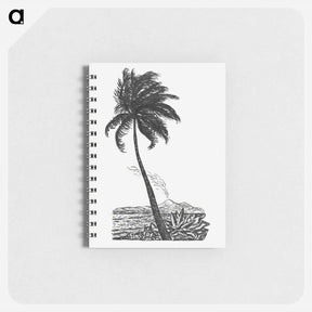 アートメモ帳-Palm tree with an island - レオ ヘステル Memo.