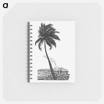 Palm tree with an island - レオ ヘステル Memo.