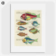 1-21_Louis-Renard_picture