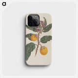 Solanum incanum L.
 - ルイージ バルガーニ Phone Case.