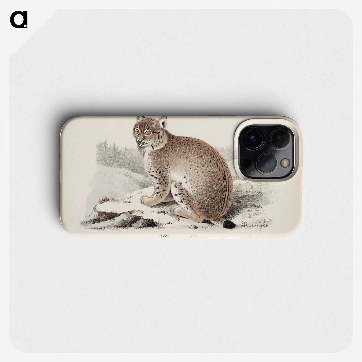 1-21_Magnus-von-Wright_phone