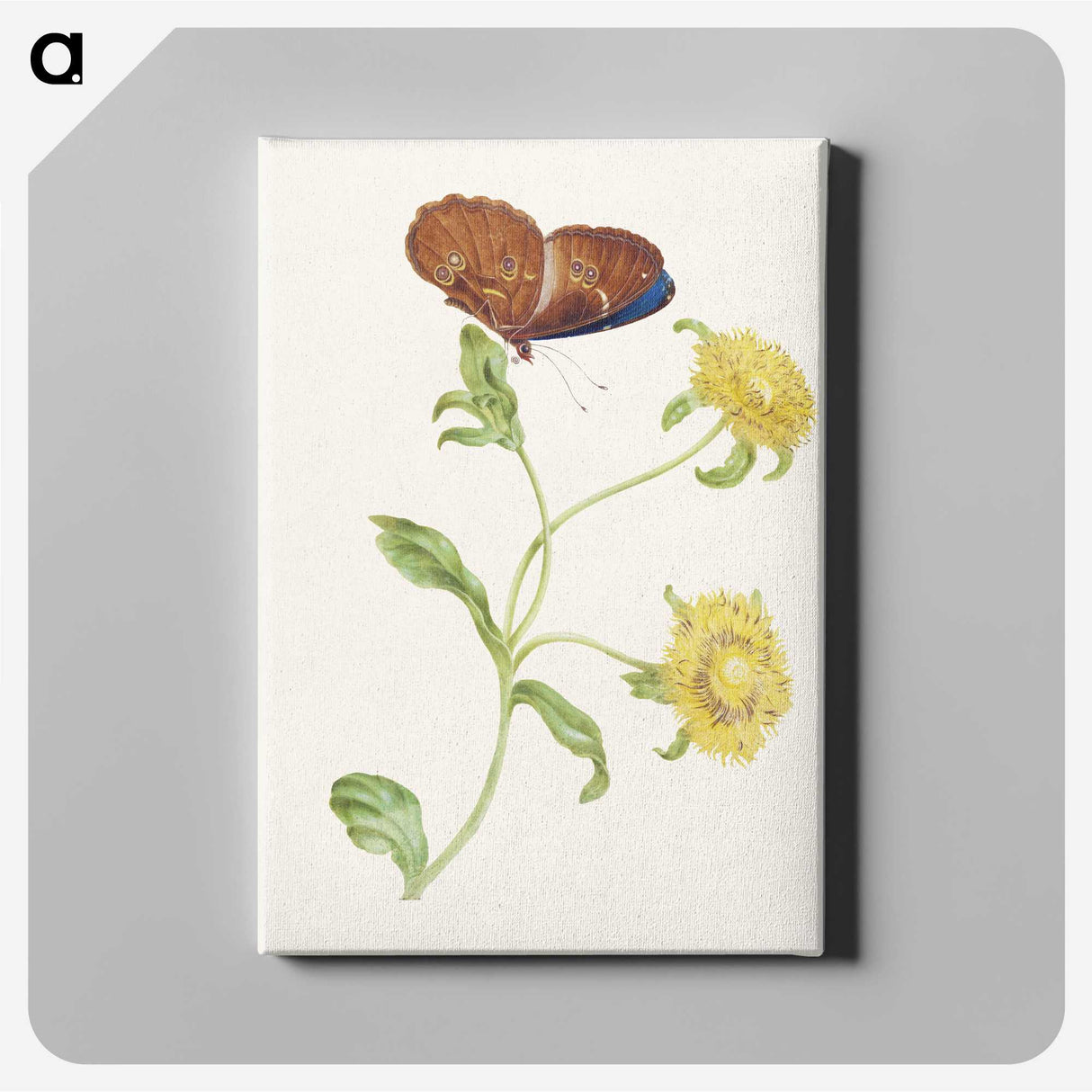 1-21_Maria-Sibylla-Merian_canvas