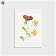 アートポストカード-Butterfly on Yellow Flowers
 - マリア ジビーラ メーリアン Postcard.