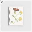 1-21_Maria-Sibylla-Merian_memo
