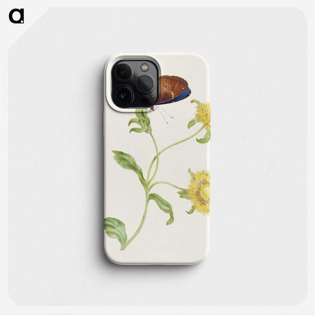1-21_Maria-Sibylla-Merian_phone