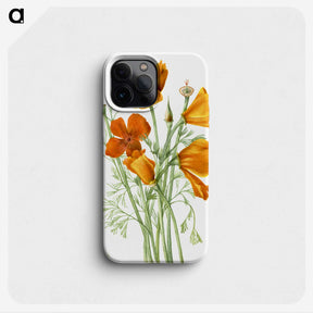 1-21_Mary-Vaux-Walcott_phone