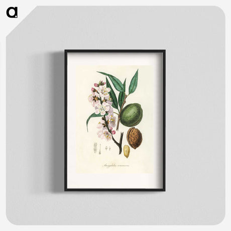 1-21_Medical-Botany_blk