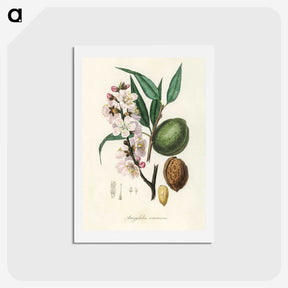 1-21_Medical-Botany_hagaki