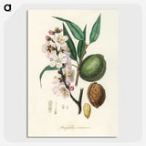 1-21_Medical-Botany_picture-crop