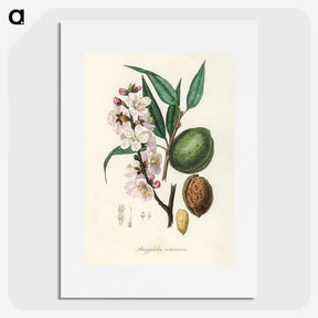 1-21_Medical-Botany_picture