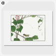 1-21_Morimoto-Tokaku_picture