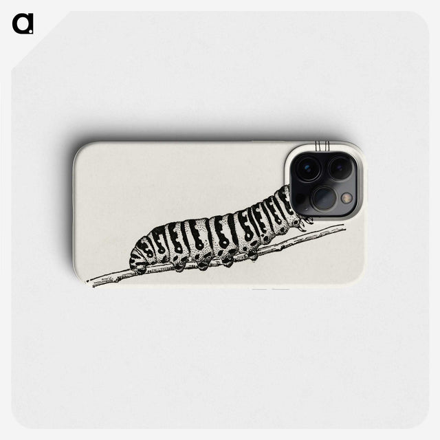 1-21_Moths-and-Butterflies-of-the-United-States_phone