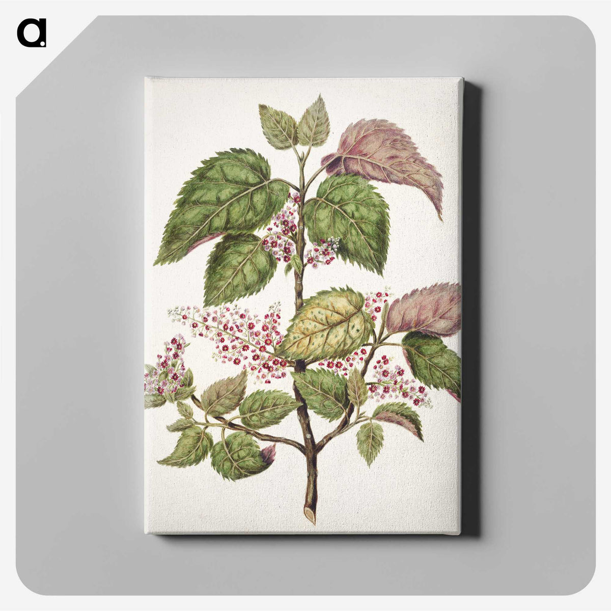 1-21_Native-Flowering-Plants-of-New-Zealand_canvas