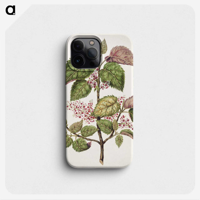 1-21_Native-Flowering-Plants-of-New-Zealand_phone