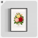 1-21_Nederlandsche-Flora-en-Pomona_blk