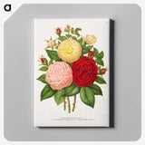 1-21_Nederlandsche-Flora-en-Pomona_canvas