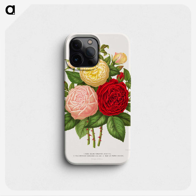 1-21_Nederlandsche-Flora-en-Pomona_phone
