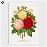 1-21_Nederlandsche-Flora-en-Pomona_picture-crop