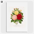 1-21_Nederlandsche-Flora-en-Pomona_picture