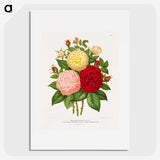 1-21_Nederlandsche-Flora-en-Pomona_picture