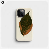 1-21_New-and-Rare-Beautiful-Leaved-Plants_phone
