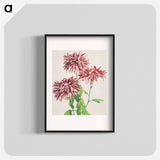 Three Pink Chrysanthemum - 小川 一正 Poster.