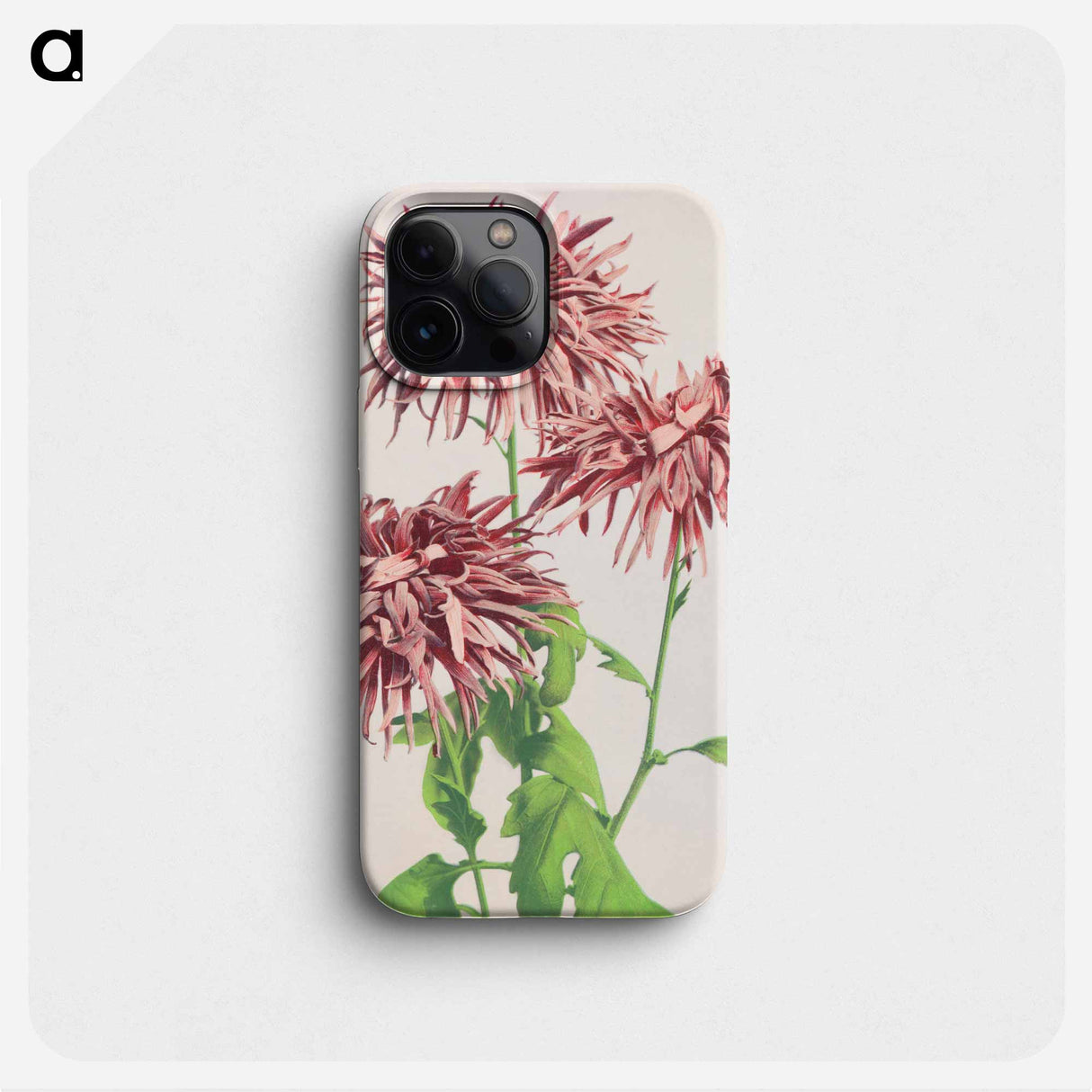 Three Pink Chrysanthemum - 小川 一正 Phone Case.