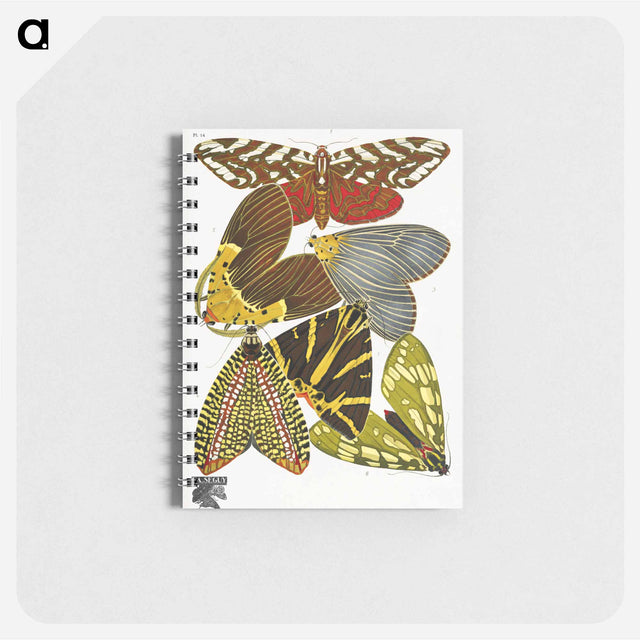 アートメモ帳-Vintage Butterflies
 - パピヨン Memo.